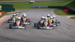 &bdquo;BMW Formulės Mini&ldquo; V etapas