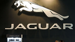 „Jaguar“