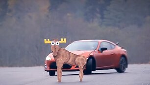 &bdquo;Scion FR-S&ldquo; atlieka &bdquo;briedžio&ldquo; testą