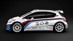 &bdquo;Peugeot 208 R5&ldquo;
