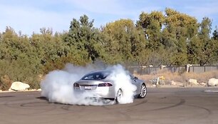 &bdquo;Tesla Model S&ldquo; svilina ratus