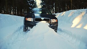 &bdquo;&Scaron;koda Fabia&ldquo;