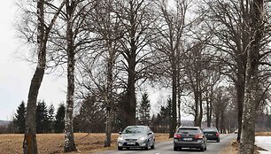Siauri, tankiai medžiais apsodinti pamario keliai neatleidžia nė menkiausios vairuotojo klaidos
