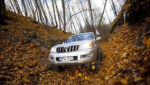 &bdquo;Toyota&ldquo; visureigių žygis