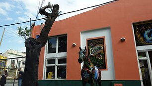 &bdquo;La Boca&ldquo; rajonas Buenos Airėse