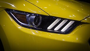 &bdquo;Ford Mustang&ldquo;