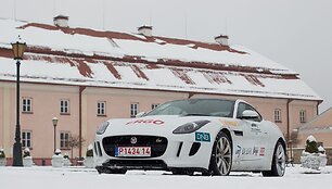 &bdquo;Jaguar F-Type Coupe&ldquo;