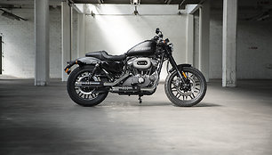 „Harley-Davidson Roadster“