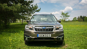 „Subaru Forester“