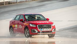 „Audi Q2“