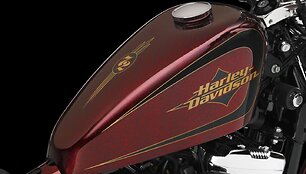 &bdquo;Harley-Davidson Sportster&ldquo;