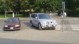 Ilgojo Žolinių savaitgalio pažeidėjas