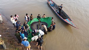Mekongo upėje Kambodžoje sugauta 300 kg sverianti raja tapo didžiausia pasaulyje gėlavandene žuvimi