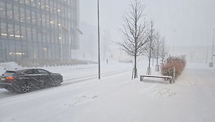 Sniego audra Vilniuje