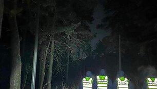 Policijos pareigūnai vėlų pirmadienio vakarą ir naktį ie&scaron;kojo Kaune dingusios devynmetės