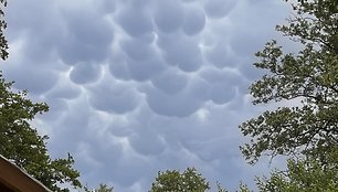 Mammatus debesys