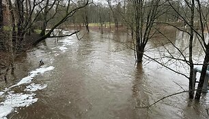 Audros padariniai Plungės rajone