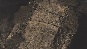 Barboros Radvilaitės karsto fragmentas