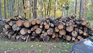 Babėnų &scaron;ilas, pagaliau atitekęs Kėdainių rajono savivaldybės žinion, kone i&scaron; karto buvo &bdquo;pra&scaron;ienautas&ldquo;. Nors buvo žadėta, kad i&scaron;pjaus apie 250 kubinių metrų medienos, realybė, deja, pasirodė esanti kur kas liūdnesnė