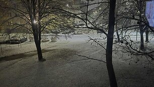 Pirmasis sniegas Tauragėje