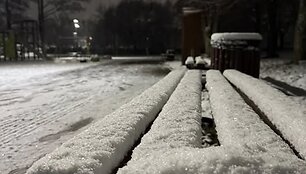Pirmasis sniegas Tauragėje