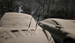 2025 metų lapkričio 23 dienos sniegas Vilniuje
