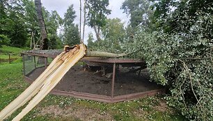 Audros nuniokotas Taujėnų dvaro parkas