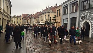 Kauno senamiestyje vyko kasmetinis &bdquo;Westukų&ldquo; žygis