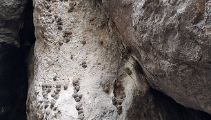 Pauk&scaron;čių urvas Areni slėnyje, Armėnija