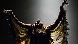 Kadras i&scaron; Gyčio Ivanausko teatro &scaron;okio spektaklio &bdquo;Pauk&scaron;čiai"
