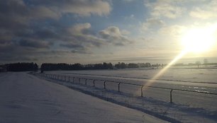 Sartuose – paruošiamieji darbai žirgų lenktynėms