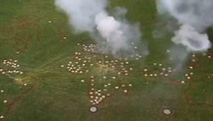 Prieš badą pasaulyje protestuodama menininkė susprogdino 194 duonos kepalus