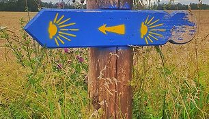 Žygis &bdquo;Camino Lituano&ldquo; keliu