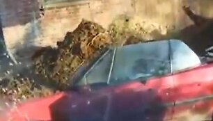 Savo žmonos anketą pažinčių svetainėje aptikęs britas ker&scaron;ydamas į jos automobilį pripylė arklio i&scaron;matų