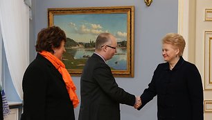 Lietuvos Respublikos Prezidentė Dalia Grybauskaitė artėjant pirmininkavimui ES Tarybai susitiko su Europos Parlamento (EP) Moterų teisių ir lyčių lygybės komiteto (FEMM) atstovais. 