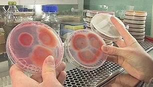 Naudojant biojutiklius, galima greitai ir patikimai įvertinti, ar jautienoje yra arklienos, o gal net žiurkienos, nustatyti įvairiomis pavojingomis bakterijomis užkrėstus maisto produktus. 