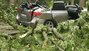 Akademijoje suniokotas automobilis