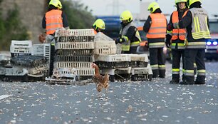 Judrioje Austrijos automagistralėje eismą užblokavo vi&scaron;tos