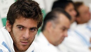 Junas Martinas del Potro