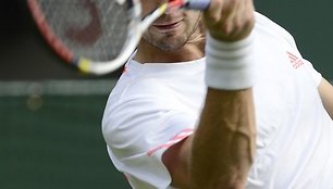 Ernestas Gulbis