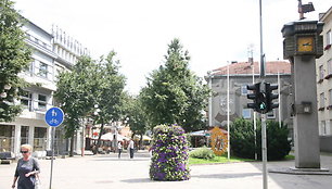 Šiauliai