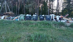 &Scaron;iuk&scaron;lės Skirgi&scaron;kėse