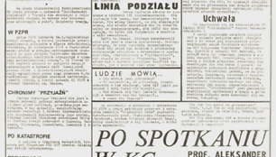 Legaliai leistos &bdquo;Dienos naujienos&ldquo; 1981 m.