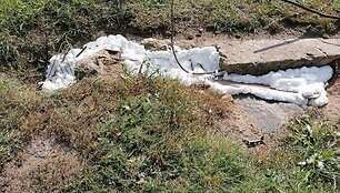 Užpurk&scaron;tos angos &scaron;alia Respublikinės &Scaron;iaulių ligoninės, kur gyveno katės