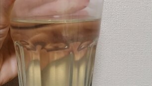 Vanduo Žemųjų Panerių gyventojų butuose