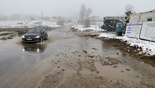 Bendorėlių 1-oji al.