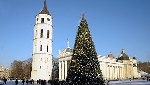 Kalėdų eglė Vilniaus Katedros aik&scaron;tėje