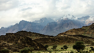 Antradienis Dakare, Al Ula