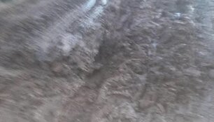 news_641d7a4de5e7dc59c099.jpg
