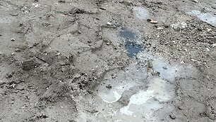 Vaizdai Vilniaus Arimų gatvėje